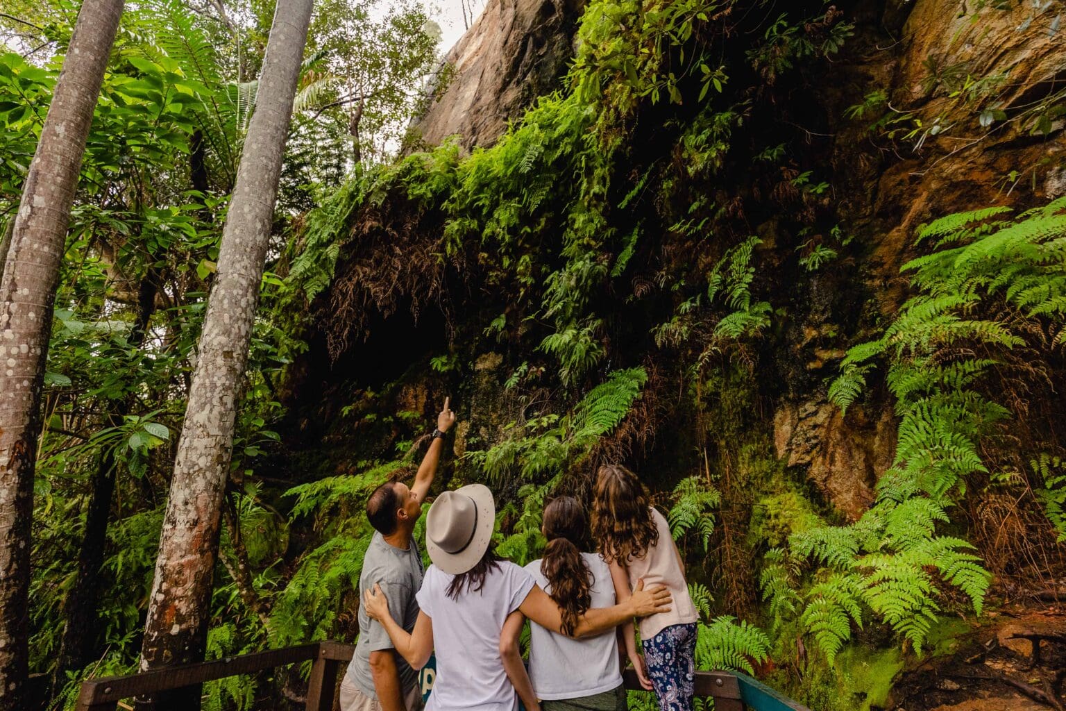 Family looking at ferns at Cania Gorge National Park