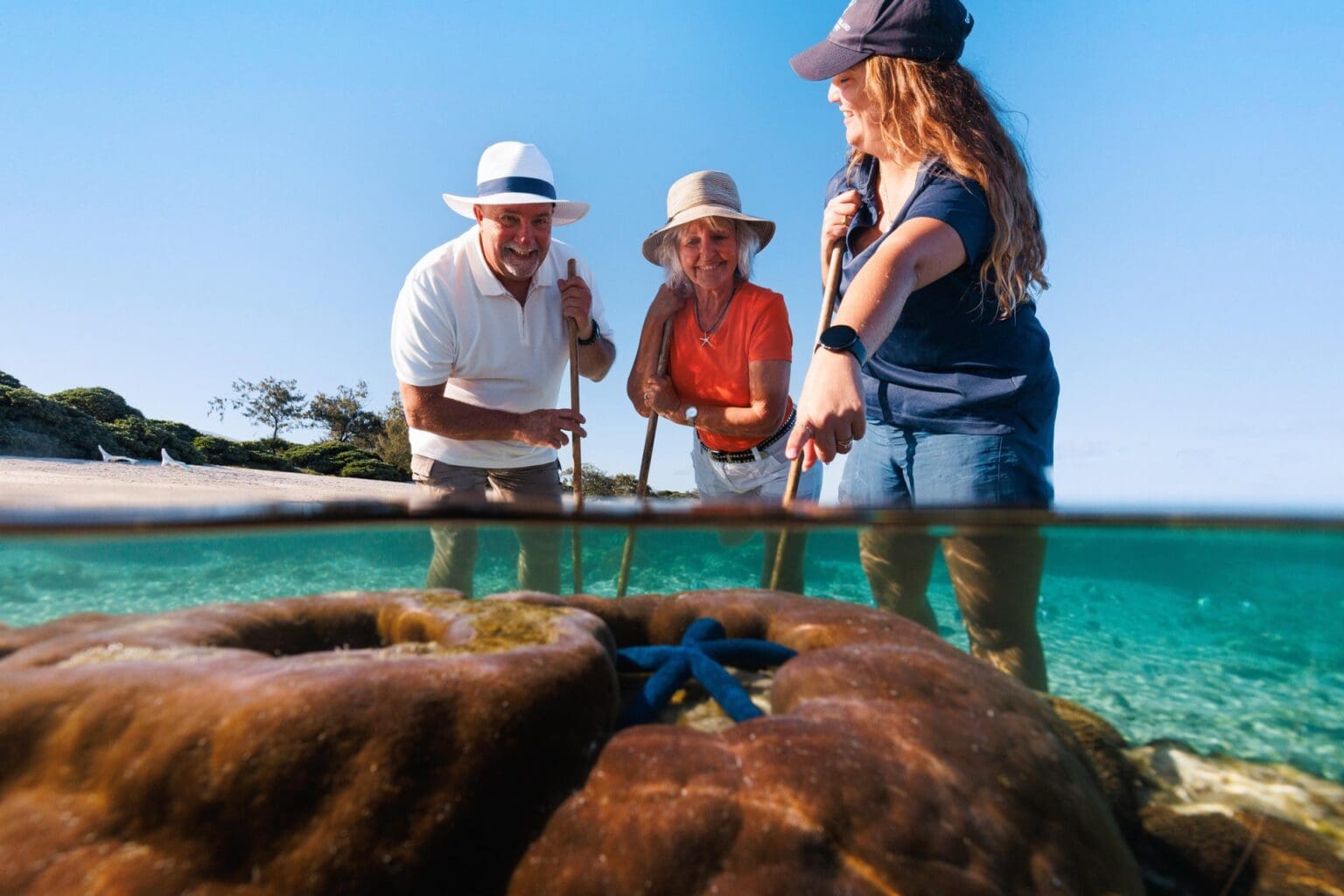 Visitors explore marine life in shallow waters at Lady Elliot Island on the Southern Great Barrier Reef near Bundaberg, Queensland, guided by a Master Reef Guide.