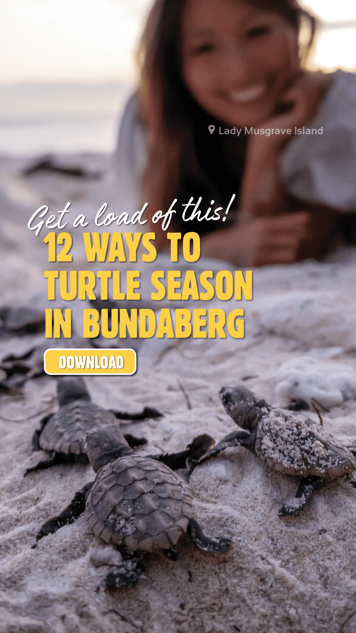 Turtle Loading Campaigns - www.bundabergregion.org