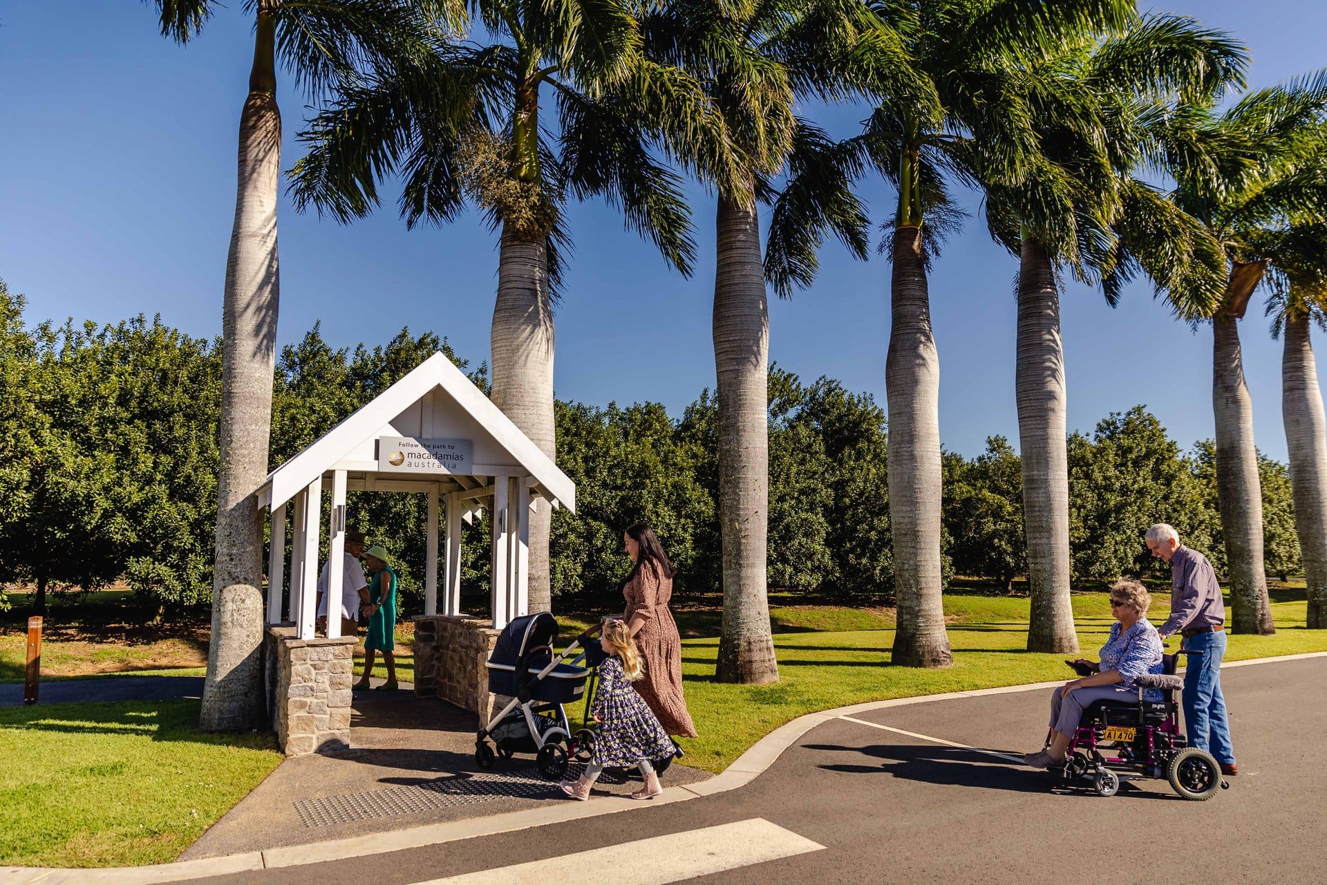 visitors arriving at macadamias australia, walking towards signed archway that is lined by palm trees and a sealed pathway into the macadamia orchard and Visitor Experience centre.
