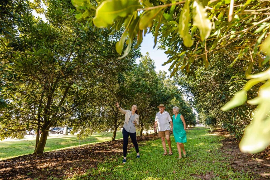 Couple in macadamia orchard with visitor guide looking at nuts