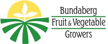 BFVG logo landscape
