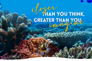 Destination Facebook Banners